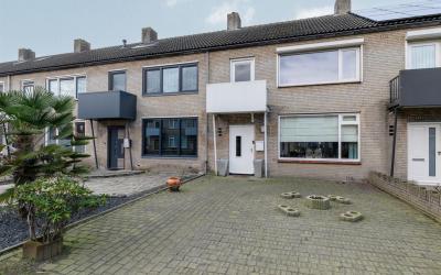 Groen van P. 55