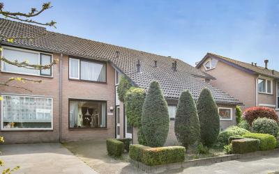 Willem Pijp. 11