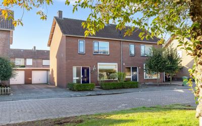Willem de Z. 23