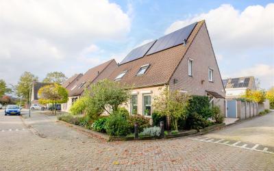 Leeuwerik 13