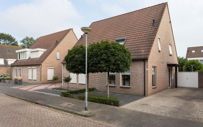 Leeuwerik 17