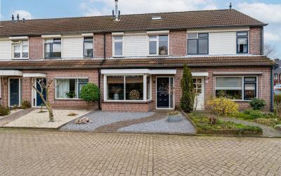 Koekoek 16