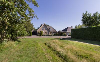 Goudvink 53