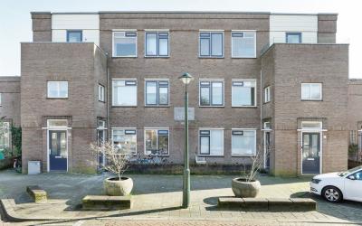 Van der Ven. 19