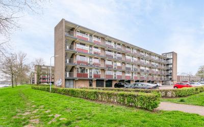 van Reysstr. 101