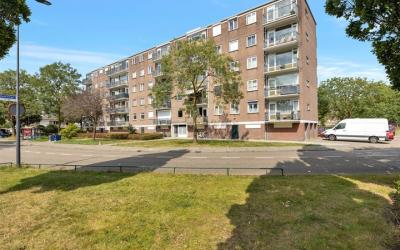 Maassingel 42