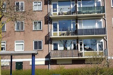 Maassingel 46