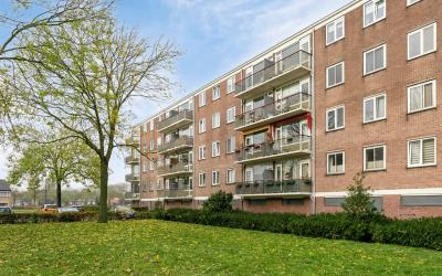 Maassingel 172