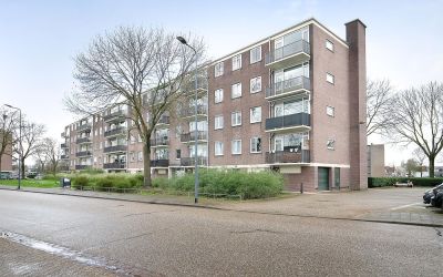 Maassingel 322