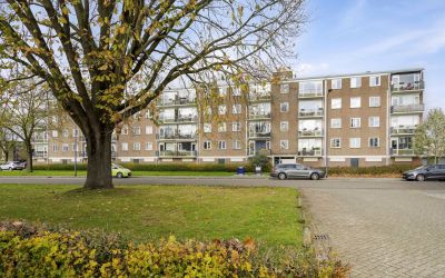 Maassingel 350