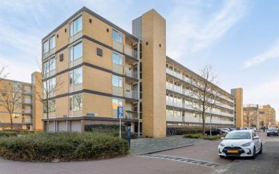 Adriaen Wil. 45