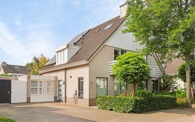 Aalscholver. 15
