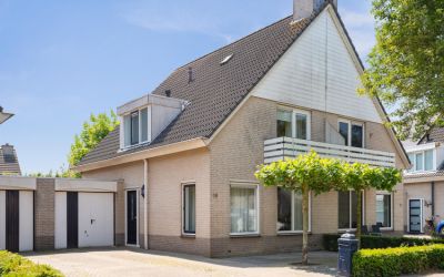 Aalscholver. 19