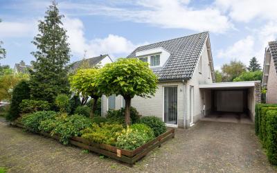 Aalscholver. 8