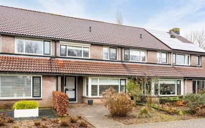 Goudplevier 25