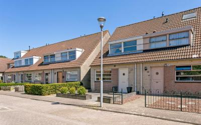 Roerdomp 27