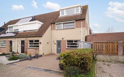 Roerdomp 10