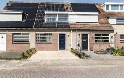 Roerdomp 6