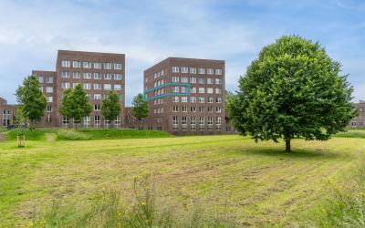Parcivalring 419