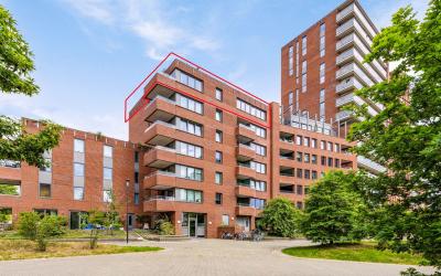 Willemspoort 81