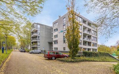 Schaapsveld. 86