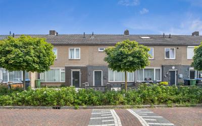 Maarten Tro. 19