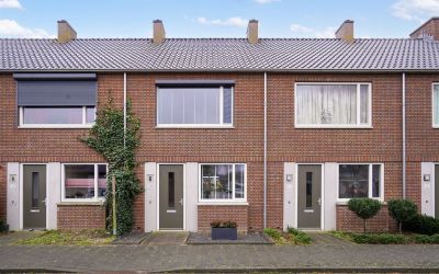 Witte de Wi. 12