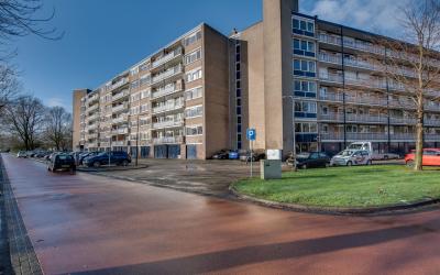 Kruiskampsi. 229