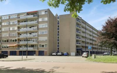 Kruiskampsi. 313