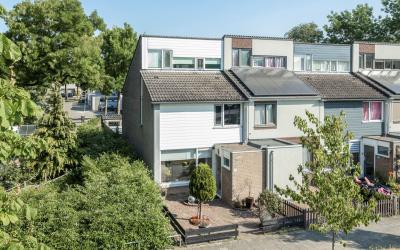 Zesde Haren 2