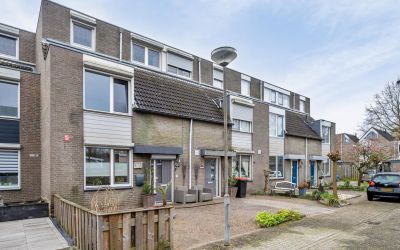 Zevende Reit 7