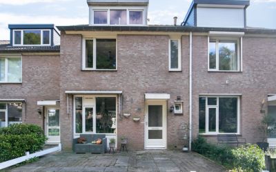 Lokeren 157