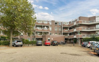 Statenkwart. 56