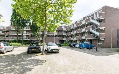 Statenkwart. 112