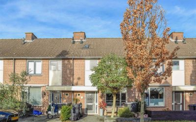 Blokpolder 55