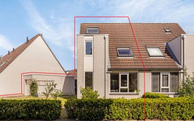 Groen van P. 113