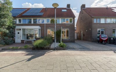 Zilverdistel 23