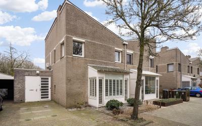 Meester Pip. 29