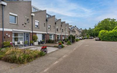 Goudpiaster. 39