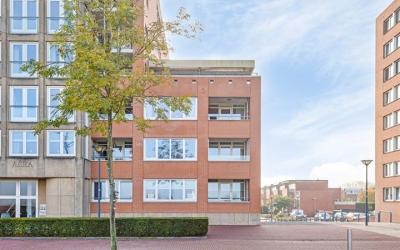 Maasbouleva. 33