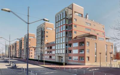 Maasbouleva. 43