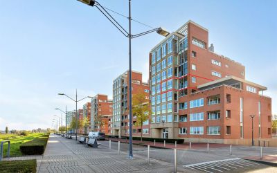 Maasbouleva. 123