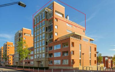 Maasbouleva. 135