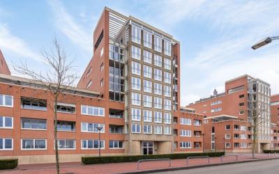 Maasbouleva. 181
