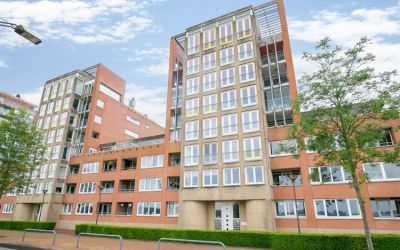 Maasbouleva. 273