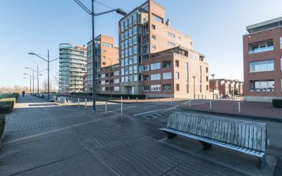 Maasbouleva. 295