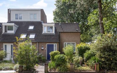 Brabanthoev. 229