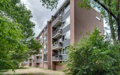 Lucas Gasse. 14