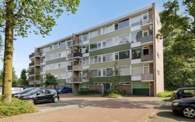 Lucas Gasse. 70