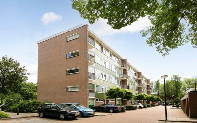 Cornelis Bo. 10